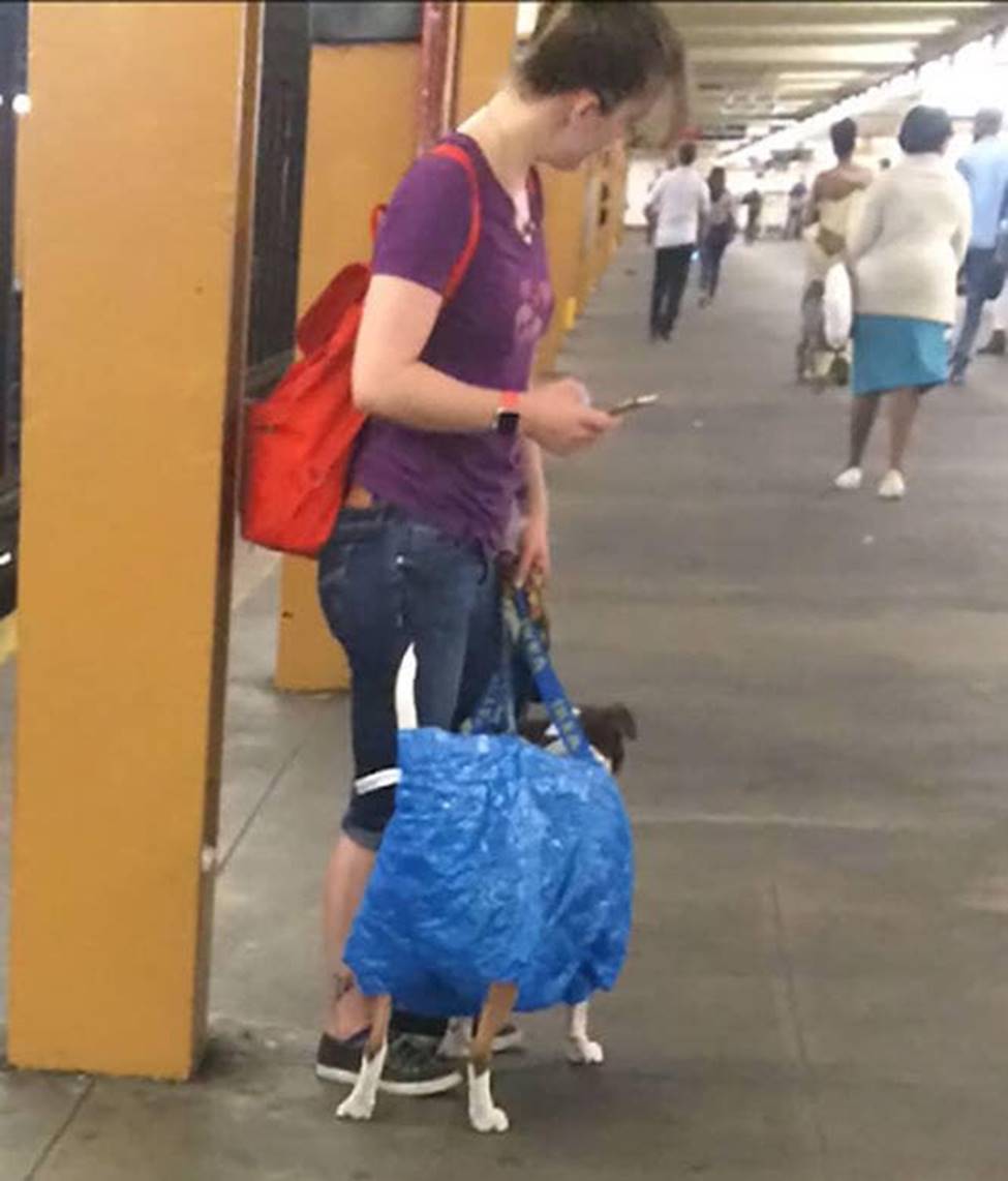 Bắt gặp hình ảnh quái gở chỉ có ở trên tàu điện ngầm-3