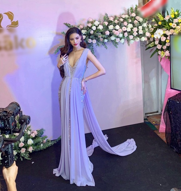 SAO MẶC ĐẸP: Đỗ Mỹ Linh - Tiểu Vy hóa chị em song sinh với đầm công chúa - Ngọc Trinh khoe body đẹp như tạc-6