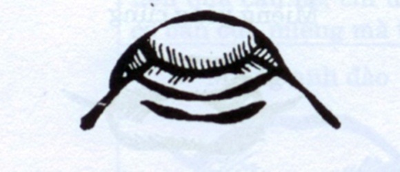 Phụ nữ sở hữu tướng miệng này, cả đời ắt vất vả truân chuyên, làm không đủ tiêu-4