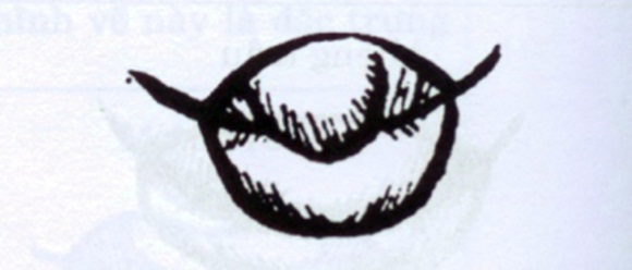 Phụ nữ sở hữu tướng miệng này, cả đời ắt vất vả truân chuyên, làm không đủ tiêu-5