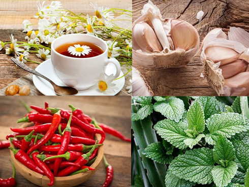 Chuyên gia dạy cách ăn uống lành mạnh và những cảnh báo quan trọng để loại bỏ ung thư-4