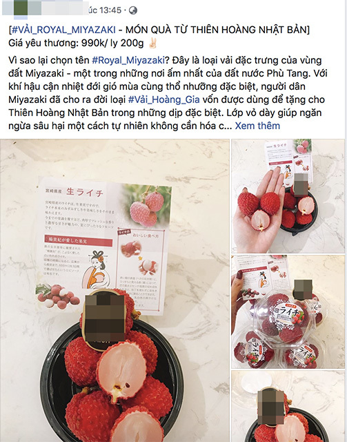 Vải thiều Nhật Bản 1 triệu/6 quả vẫn đắt hàng ở Việt Nam-1