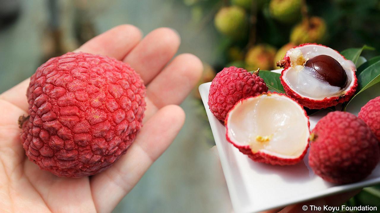 Vải thiều Nhật Bản 1 triệu/6 quả vẫn đắt hàng ở Việt Nam-3