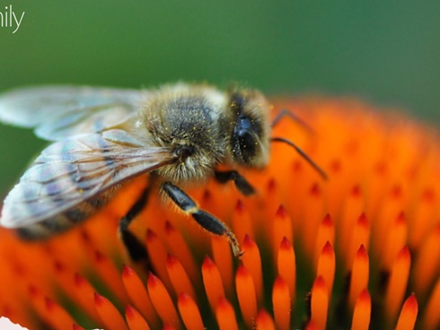 2 vợ chồng cùng mắc ung thư: Bác sĩ khẳng định nguyên nhân là những món tai hại họ ăn hàng ngày để tiết kiệm-5