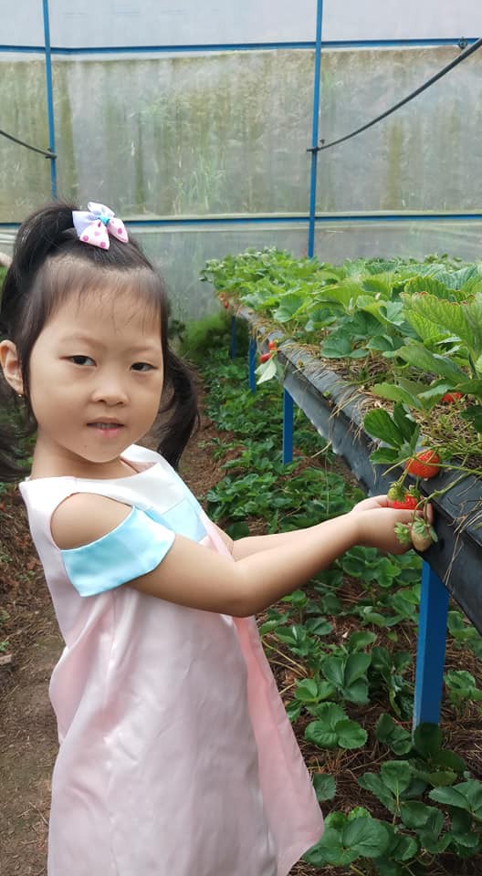 Bé 5 tuổi 3 lần vô địch Nhanh như chớp nhí: Chị Ba bất biến là ai mà khiến hàng loạt sao Việt phát cuồng?-11