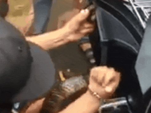 Đùa giỡn với rắn, thanh niên nhận cái kết đắng ngắt-1