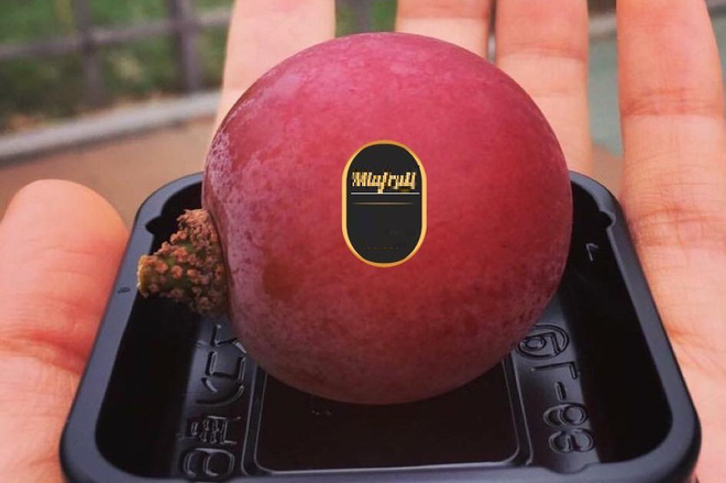 Nho đắt nhất thế giới về Việt Nam giá 6,5 triệu đồng/chùm, cửa hàng có bán lẻ từng trái-2