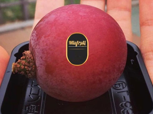 4 loại nho siêu sang khiến nhà giàu Việt thích mê hội tụ ở Hà Nội-9