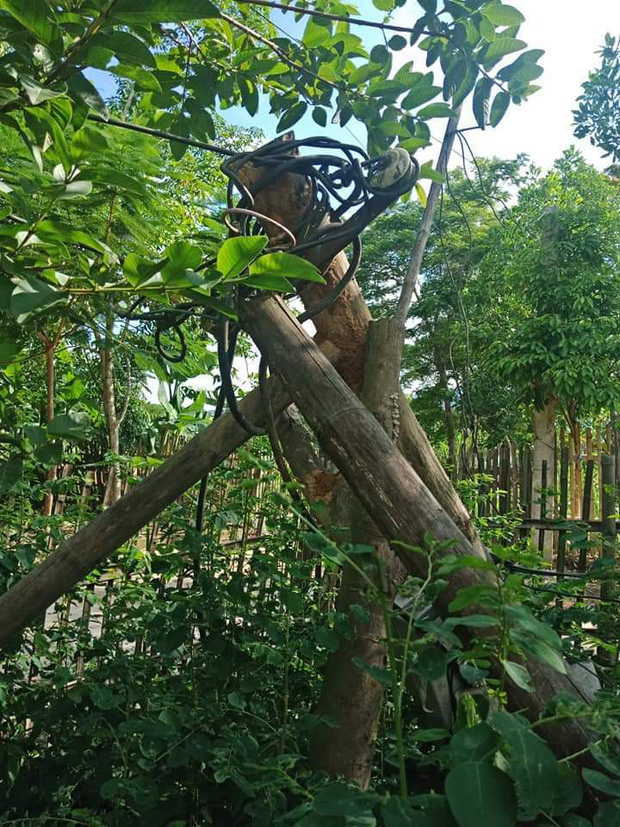 1 phút 9 lần mất điện, hàng trăm hộ dân ở Thanh Hóa bị cháy tivi, tủ lạnh-2