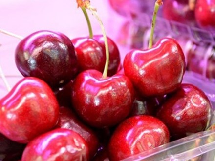 Trái cây ngoại nhập rẻ ê hề: Khó phân biệt cherry Mỹ, cherry Trung Quốc