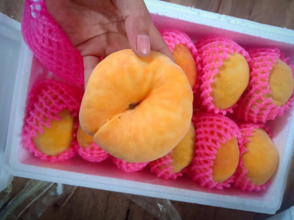 Chơi sang ăn đào Tây Ban Nha, ngã ngửa cú lừa hàng Trung Quốc-1