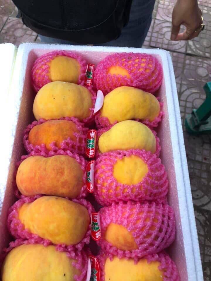 Chơi sang ăn đào Tây Ban Nha, ngã ngửa cú lừa hàng Trung Quốc-2