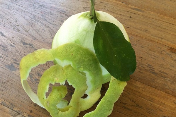 Thứ cho không ai lấy của quả bưởi thực ra chống được ung thư, giảm cân nhanh, trị bách bệnh-2