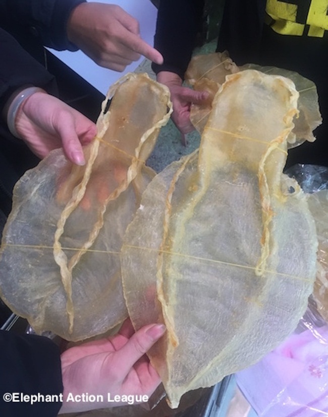 Được coi là thần dược phòng the, thứ bỏ đi đội giá tiền tỷ và sự thật đáng sợ-4