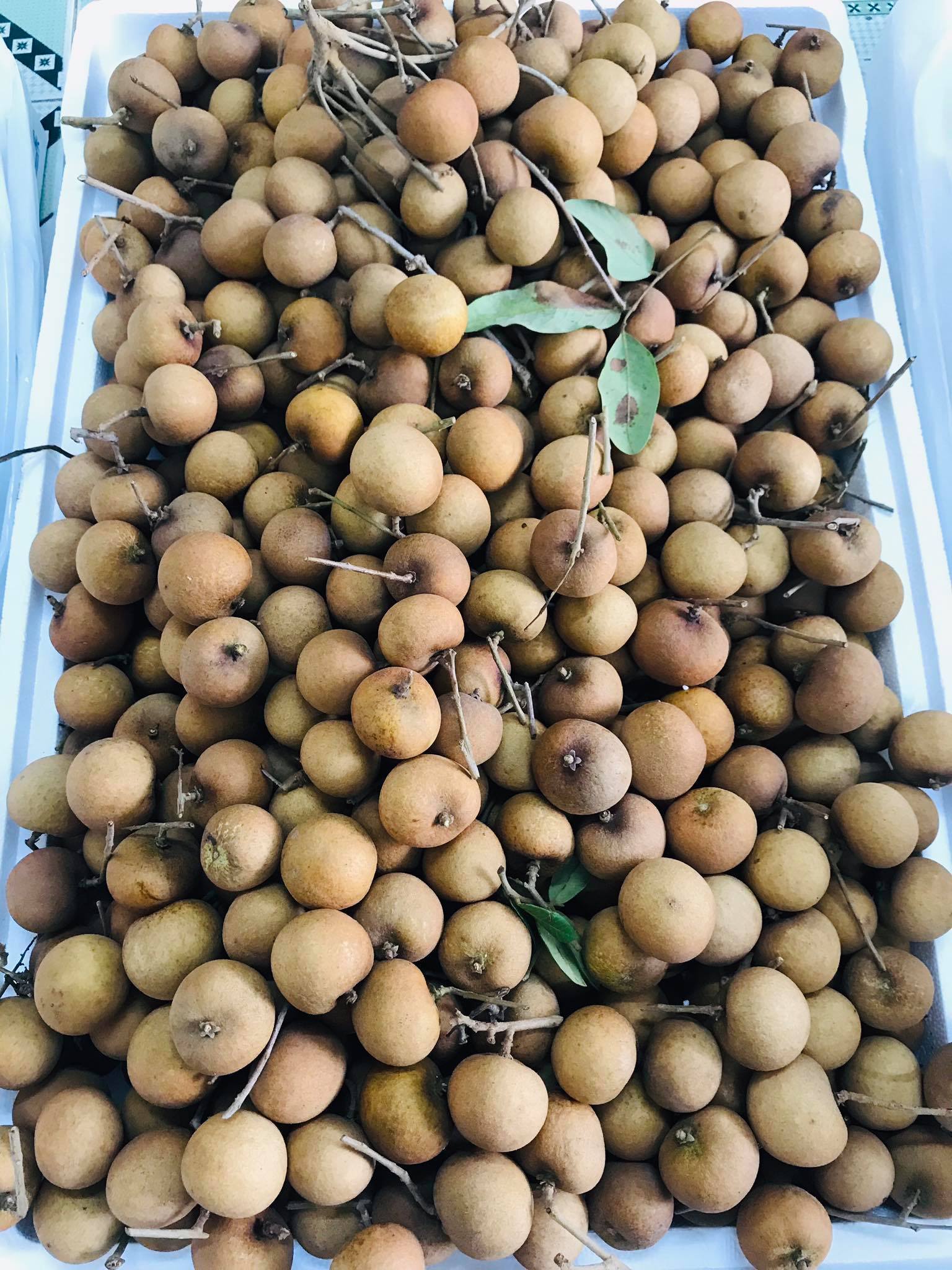 Nhãn bắp cải, hàng Việt cực hiếm, giá cực đắt có tiền khó mua-3