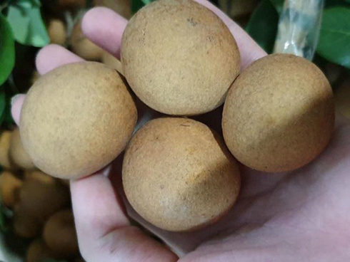 Dùng bắp cải theo cách này, bạn sẽ khỏi hẳn đau nhức xương khớp chỉ sau 1 giờ-5