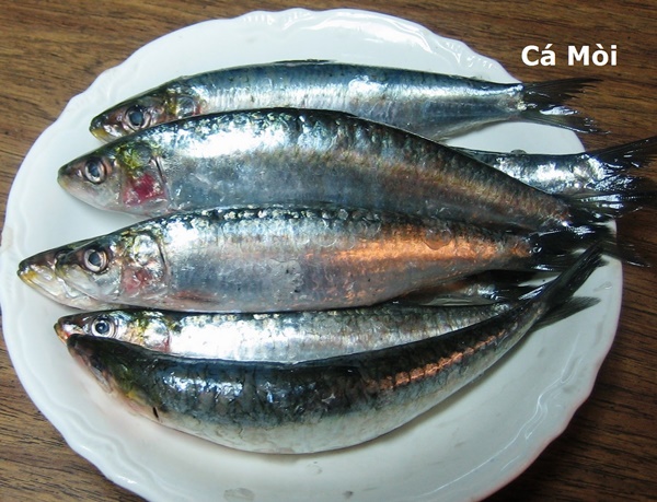 Đánh bại sữa, đây mới là 5 thực phẩm giàu canxi bậc nhất, tận dụng để cả đời không lo loãng xương-3