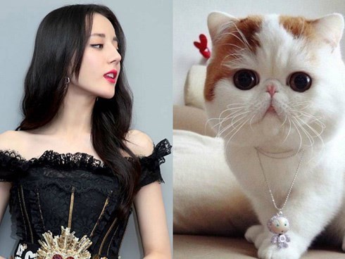 2 năm nữa, 3 con giáp này thoát nghèo, kiếm tiền tỷ trong tay, sắm nhà sắm xe liên tục