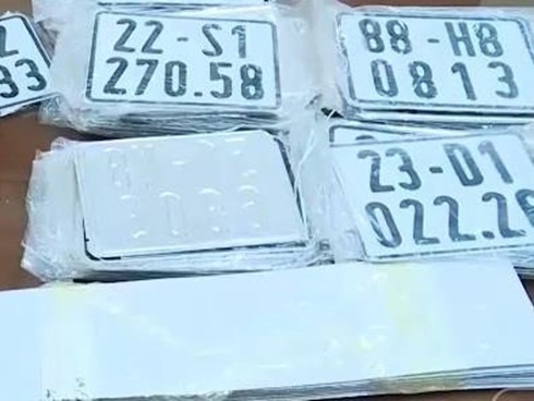 Tạm đình chỉ 2 công an trong vụ cấp biển số đẹp cho xe Lexus-2