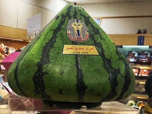 24 triệu đồng một quả dưa hấu hình kim tự tháp ở Nhật-1