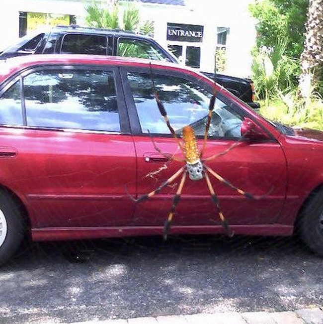 Hình ảnh trùng hợp khiến người xem hoa mắt chóng mặt-7