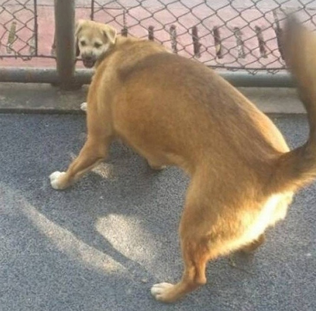 Hình ảnh trùng hợp khiến người xem hoa mắt chóng mặt-9