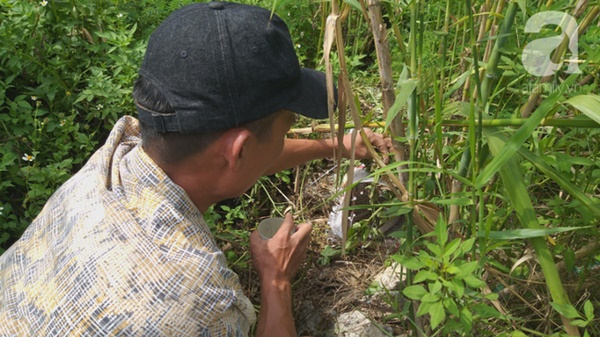 Cận cảnh bẫy rắn hổ mang chúa dài hàng mét, từng tấn công người đi đường tại khu đô thị Hà Nội-4