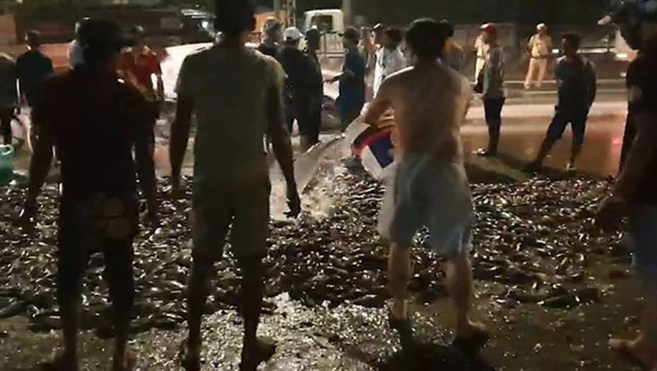 Clip: Xe tải lật ngang, gần 3 tấn cá rô bò lổn nhổn trên quốc lộ-2