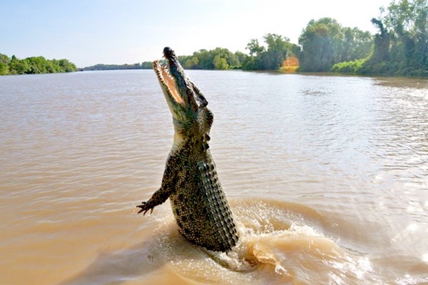 Hãi hùng khoảnh khắc bé trai 10 tuổi đang ngồi trên thuyền thì bị cá sấu lôi xuống nước ăn thịt, người nhà bất lực, chỉ lo chạy thoát thân-1