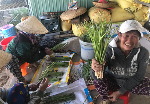 Gã khùng” mát tay trồng măng tây trên cát, 1 tháng lãi 100 triệu-4