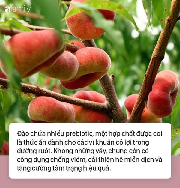 Tác dụng bất ngờ của quả đào đối với sức khỏe không phải ai cũng biết-1