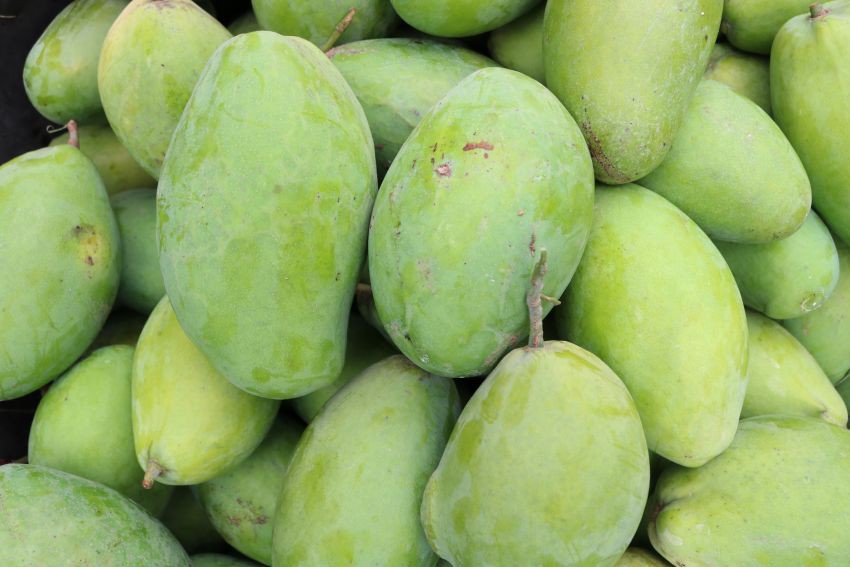 Cùng là xoài nhưng ở ngoài chợ có đến 10 loại để bạn lựa chọn và thưởng thức-3