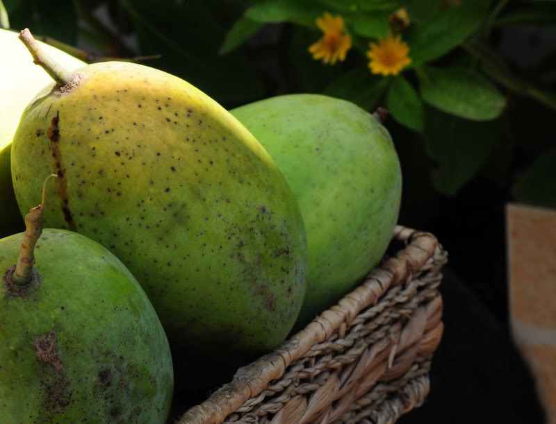 Cùng là xoài nhưng ở ngoài chợ có đến 10 loại để bạn lựa chọn và thưởng thức-4