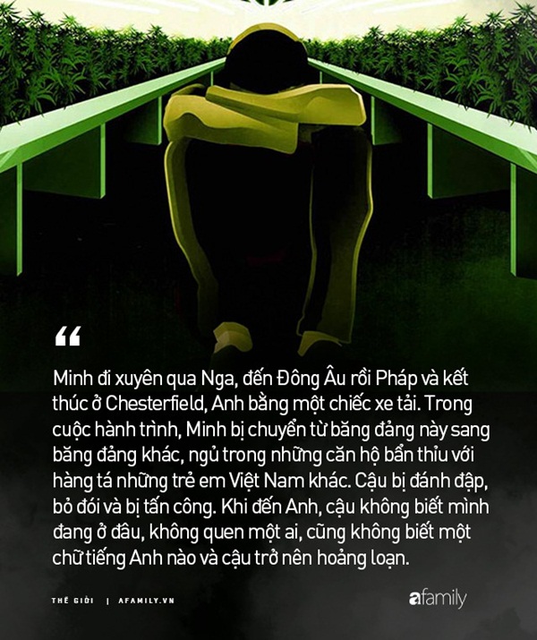 Cuộc đời nô lệ của cậu bé người Việt bị bán sang Anh trồng cần sa: Bị bắt cóc, tấn công tình dục và những sang chấn tâm lý kinh hoàng-3