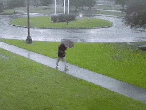 Nữ tài xế may mắn sống sót khi ô tô bị 2 tia sét đánh trúng-1