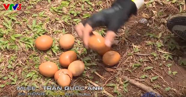 Cuộc đua kỳ thú đang dần biến thành Đỗ Mỹ Linh và những người bạn?-5