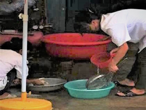 Trường Maple Bear bị giải tán trước 30/8, cô giáo nhốt trẻ trong tủ phân trần gì?-1