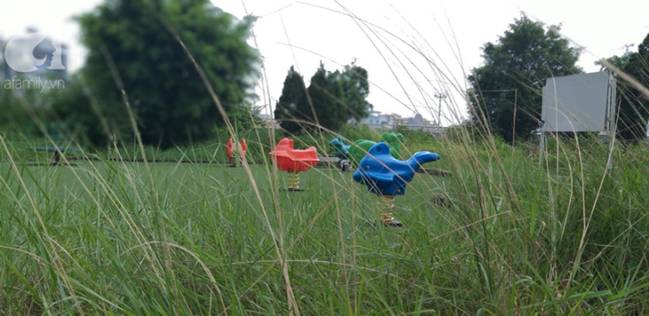 Khu vui chơi chung cư bị bỏ hoang do người dân lo sợ rắn hổ mang tấn công-2