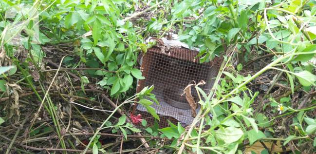 Khu vui chơi chung cư bị bỏ hoang do người dân lo sợ rắn hổ mang tấn công-8