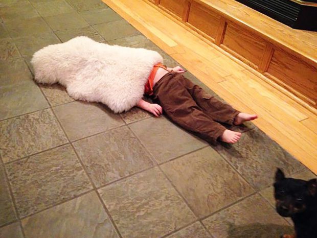 Cười té ghế với loạt ảnh đáng yêu của các bé, mất công tìm chỗ trốn nhưng vẫn giấu đầu hở đuôi-2