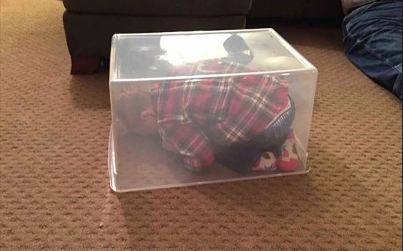 Cười té ghế với loạt ảnh đáng yêu của các bé, mất công tìm chỗ trốn nhưng vẫn giấu đầu hở đuôi-3