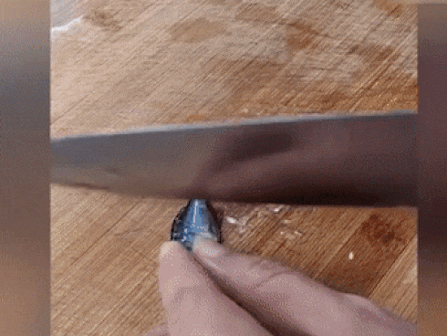 Những khoảnh khắc thú vị trong thế giới động vật-1