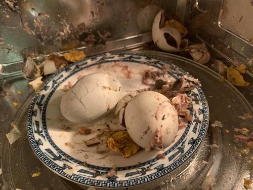 Em chồng than đói, chị dâu nhiệt tình cho trứng vào lò vi sóng và thành quả-2