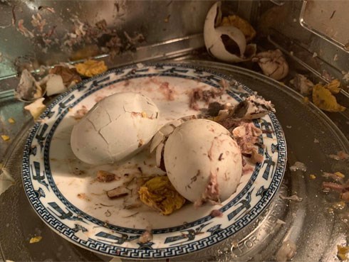 Em chồng than đói, chị dâu nhiệt tình cho trứng vào lò vi sóng và thành quả