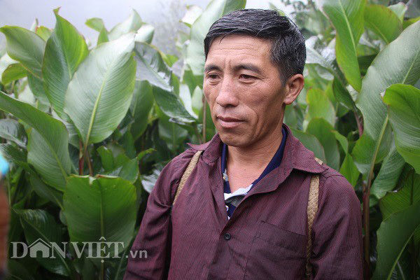 Vua táo mèo giàu bất ngờ, biệt thự to trên núi, mỗi năm thu tiền tỷ-3