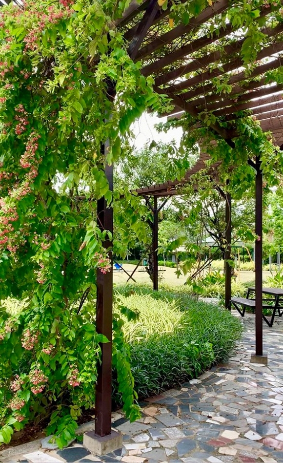 Diễn viên Trịnh Kim Chi được ông xã tặng biệt thự 200m2 dịp sinh nhật-6