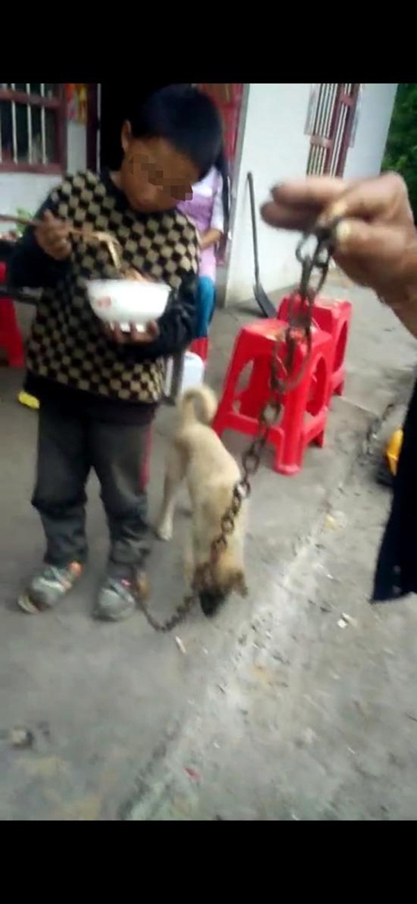 Bé 9 tuổi bị ông nội xích lại và sự thật gây tranh cãi đằng sau-1