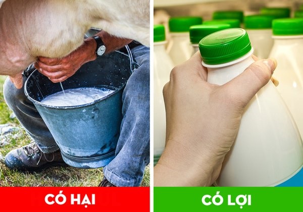 12 thực phẩm nguy hại với trẻ nhỏ, có thể gây thiệt mạng mà cha mẹ vô tư cho ăn-6