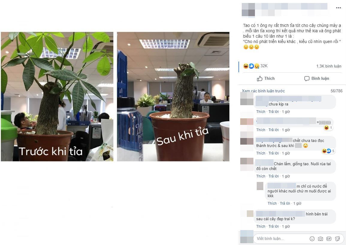 Cô nàng kể khổ bạn trai thích tỉa cây nhưng không ai hiểu, mãi tới khi thấy thành quả thì mọi người mới vỡ lẽ-1