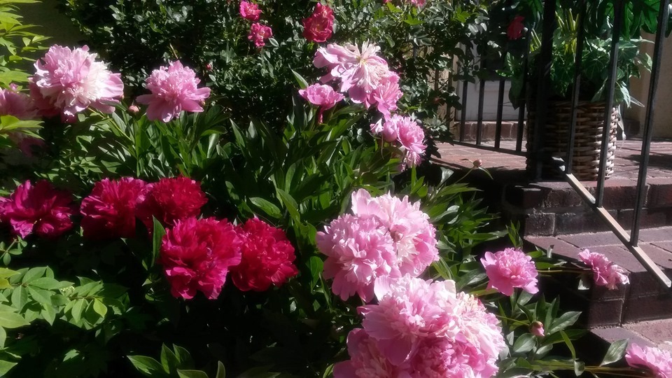 Sống chung nhà sau ly hôn, vợ sốc nặng chứng kiến hành động của chồng mỗi đêm-1